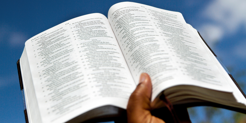 10 Powerful Bible Verses On Financial Breakthrough — Psalm 1:1-3