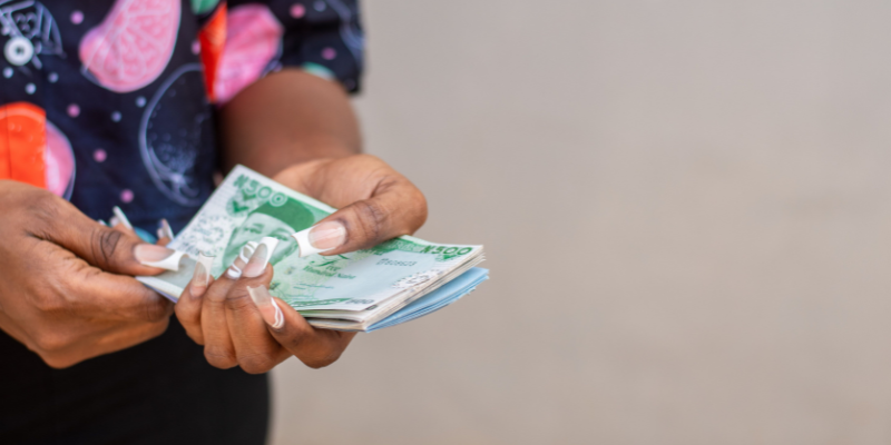 CBN Explained — What are the roles of the CBN?