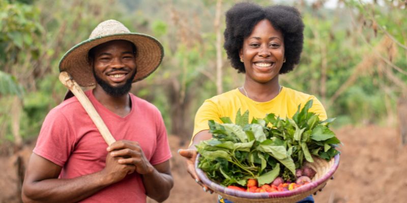 What are the types of investments in Nigeria? — Commodities