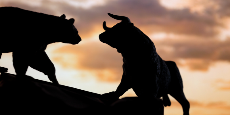 What are bull and bear markets? — What are the differences between bull and bear markets?