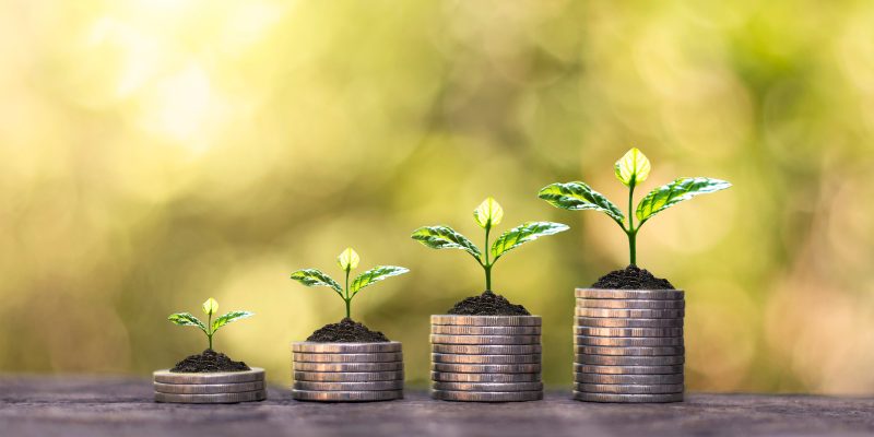 Introducing: Piggyvest Wellness Checks — Why does this matter?